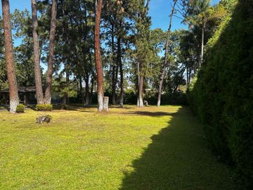TERRENO EN VENTA EN EL CENTRO DE AVANDARO