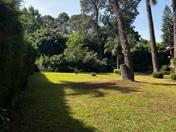 TERRENO EN VENTA EN EL CENTRO DE AVANDARO
