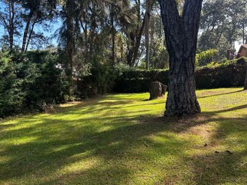 TERRENO EN VENTA EN EL CENTRO DE AVANDARO