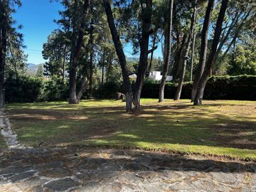 TERRENO EN VENTA EN EL CENTRO DE AVANDARO
