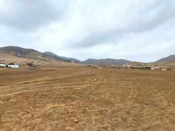 Vendo Terreno 8 Ha Con Frente A La Panamericana Sur Gran Industria $ 59.00 X M2