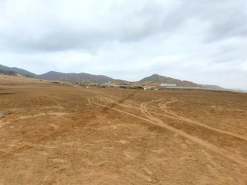 Vendo Terreno 8 Ha Con Frente A La Panamericana Sur Gran Industria $ 59.00 X M2