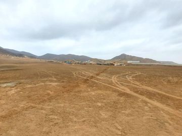 Vendo Terreno 8 Ha Con Frente A La Panamericana Sur Gran Industria $ 59.00 X M2