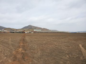 Vendo Terreno 8 Ha Con Frente A La Panamericana Sur Gran Industria $ 59.00 X M2