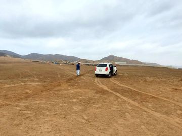 Vendo Terreno 8 Ha Con Frente A La Panamericana Sur Gran Industria $ 59.00 X M2