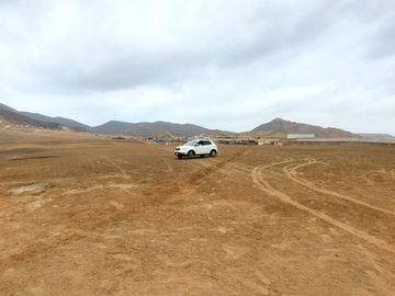 Vendo Terreno 8 Ha Con Frente A La Panamericana Sur Gran Industria $ 59.00 X M2