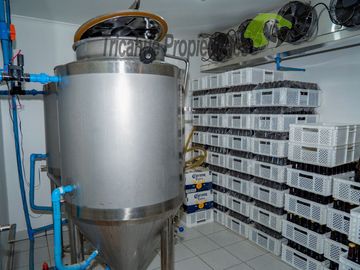 Venta de cervecería artesanal más casa en Paihuano, Valle del Elqui. $165 millones