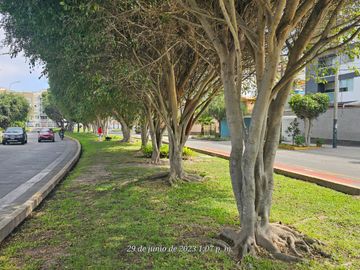 SE VENDE TERRENO RESIDENCIAL EN LA CASTELLANA - SURCO