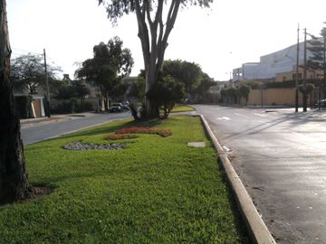 SE VENDE TERRENO RESIDENCIAL EN LA CASTELLANA - SURCO