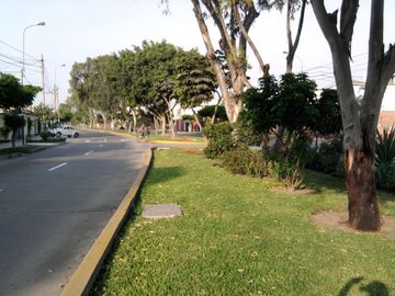 SE VENDE TERRENO RESIDENCIAL EN LA CASTELLANA - SURCO
