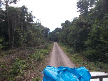 Terreno en Codo de Pozuzo 84 has En Lindísima zona de Huánuco, Con Agua