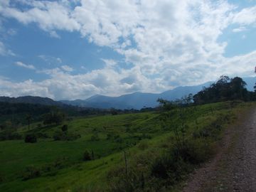 Terreno en Codo de Pozuzo 84 has En Lindísima zona de Huánuco, Con Agua