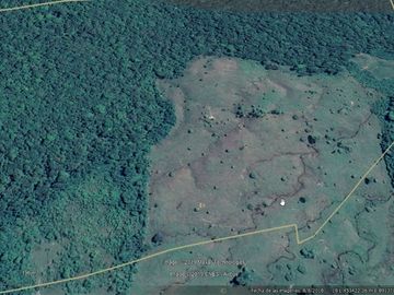 Terreno en Codo de Pozuzo 84 has En Lindísima zona de Huánuco, Con Agua