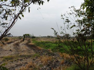 Venta de Terreno Industrial en Via Duran Tambo 36350 m², Zona del Alto Impacto