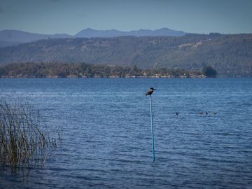 Espectacular Parcela de 5000m2 en Condominio con Acceso a Playa en Lago Calafquén, Panguipulli