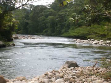 HERMOSA PROPIEDAD EN PALORA