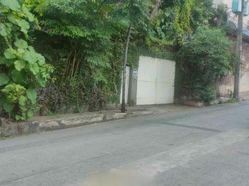 352.90 sqm Prime Location Residential Lot for Sale in Sanville Subd, Culiat, Quezon City