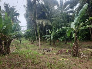 Tanah 2500 m Pinggir Jalan Raya Labuan Pandeglang
