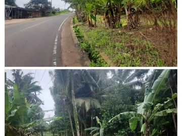 Tanah 2500 m Pinggir Jalan Raya Labuan Pandeglang