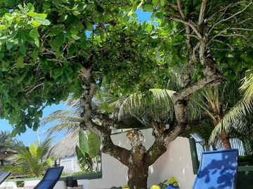 Hostal en venta en Castelnuovo / Atacames