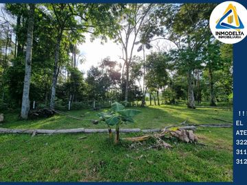 SE VENDE FINCA CAMPESTRE ACACIAS META