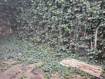 Venta de casa en ciudada satelite edo. de mex. para remodelar oportunidad