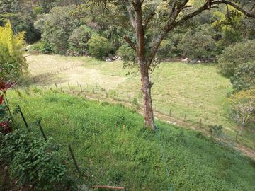 Te vendo esta extensa y hermosa finca muy bien ubicada en una excelente vereda de Barbosa.