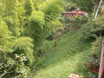 Te vendo esta extensa y hermosa finca muy bien ubicada en una excelente vereda de Barbosa.