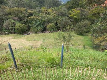 Te vendo esta extensa y hermosa finca muy bien ubicada en una excelente vereda de Barbosa.