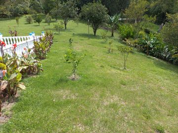 Te vendo esta extensa y hermosa finca muy bien ubicada en una excelente vereda de Barbosa.