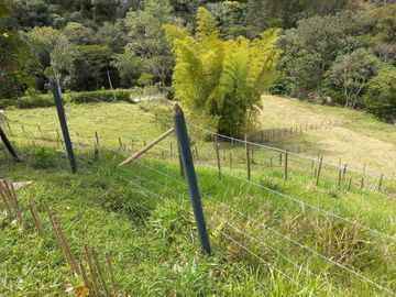 Te vendo esta extensa y hermosa finca muy bien ubicada en una excelente vereda de Barbosa.