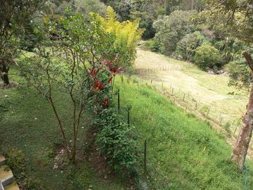 Te vendo esta extensa y hermosa finca muy bien ubicada en una excelente vereda de Barbosa.