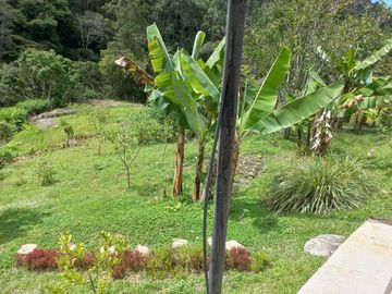 Te vendo esta extensa y hermosa finca muy bien ubicada en una excelente vereda de Barbosa.