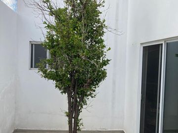 UNA SOLA PLANTA COLONIA DEL VALLE