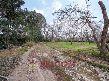 LOTE DE CAMPO EN CONDOMINIO PRIVADO