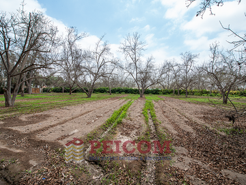 LOTE DE CAMPO EN CONDOMINIO PRIVADO