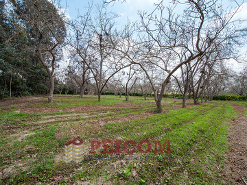 LOTE DE CAMPO EN CONDOMINIO PRIVADO