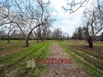 LOTE DE CAMPO EN CONDOMINIO PRIVADO
