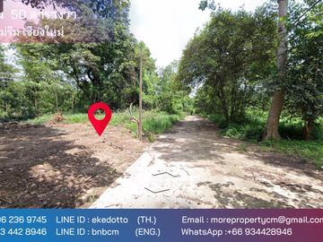 Property ID197LS Land for sale in Mae Rim, 50 sq.m.,  near Nakorn Ping Hospital