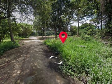 Property ID197LS Land for sale in Mae Rim, 50 sq.m.,  near Nakorn Ping Hospital