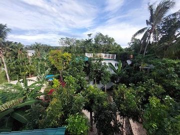 SIQUIJOR PROPERTY FOR SALE OR FOR LEASE