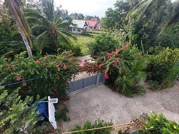 SIQUIJOR PROPERTY FOR SALE OR FOR LEASE