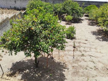 ✅ DE OFERTA VENDO CASA DOS PLANTAS CON TERRENO - $167000 dólares (Caspigasi)
