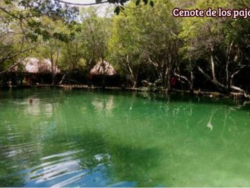 Departamento con vista al mar, club de playa, en venta Chicxulub Puerto, Merida