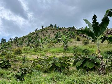 VENTA FINCA LA ITALIA-RIO FRIO