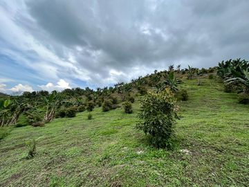 VENTA FINCA LA ITALIA-RIO FRIO
