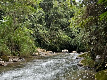 VENTA FINCA LA ITALIA-RIO FRIO