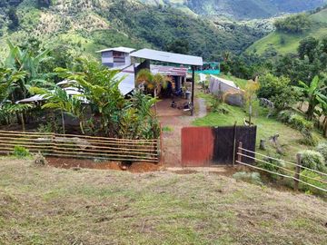 VENTA FINCA LA ITALIA-RIO FRIO