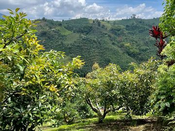 VENTA FINCA LA ITALIA-RIO FRIO