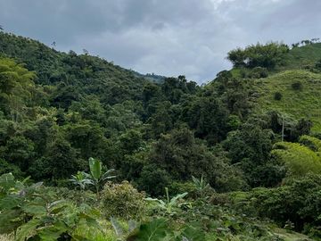 VENTA FINCA LA ITALIA-RIO FRIO